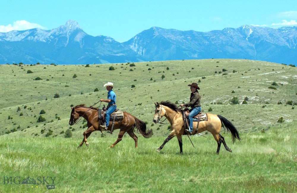 TBD Prickly Pear, Manhattan MT 59741