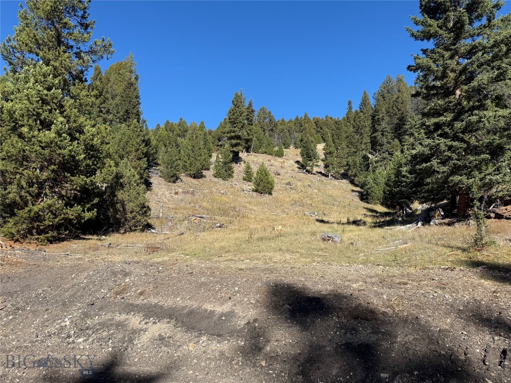 TBD Ruby Mine Road, Butte MT 59701