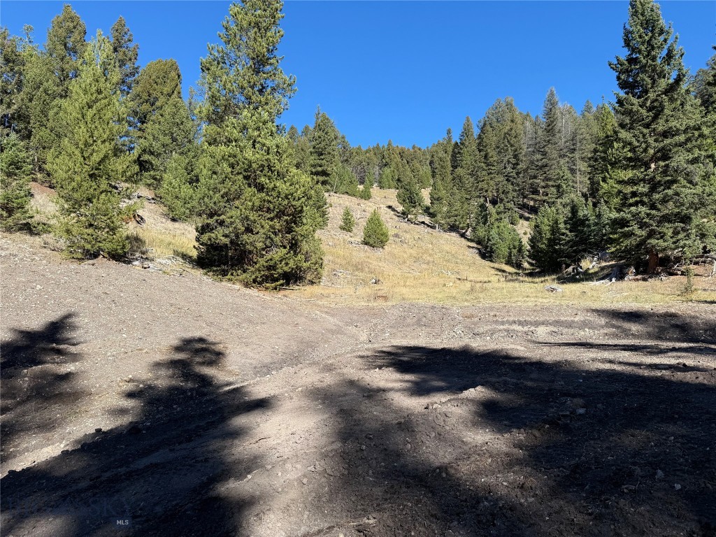 TBD Ruby Mine Road, Butte MT 59701