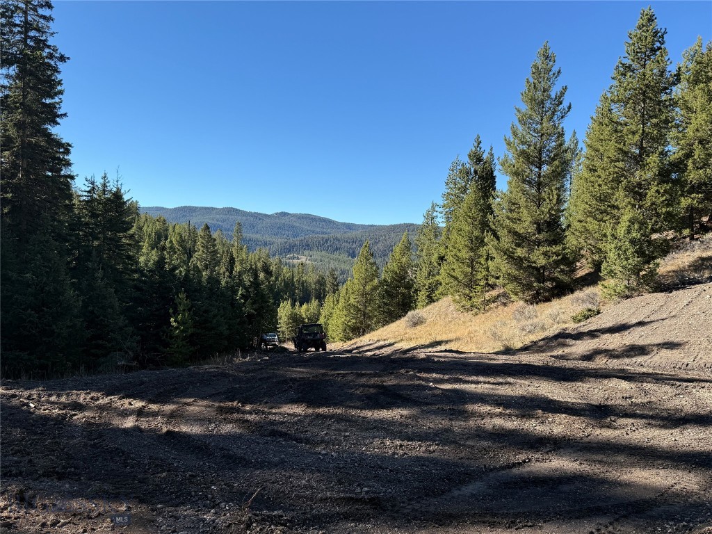 TBD Ruby Mine Road, Butte MT 59701