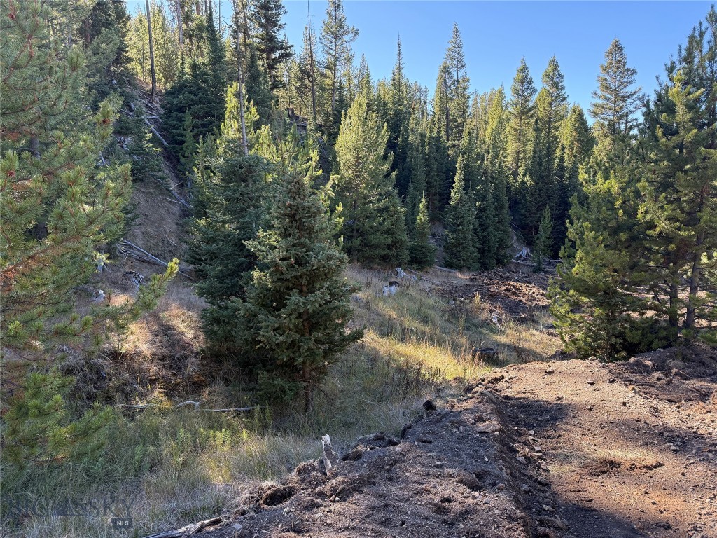 TBD Ruby Mine Road, Butte MT 59701