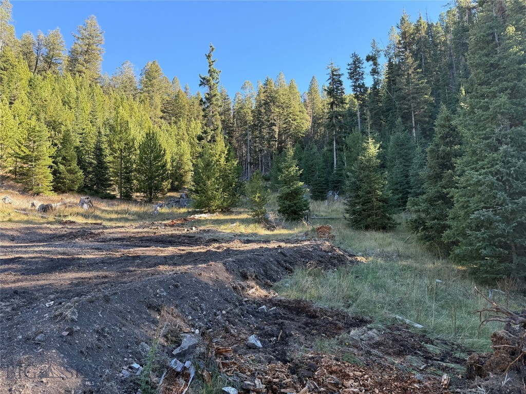 TBD Ruby Mine Road, Butte MT 59701