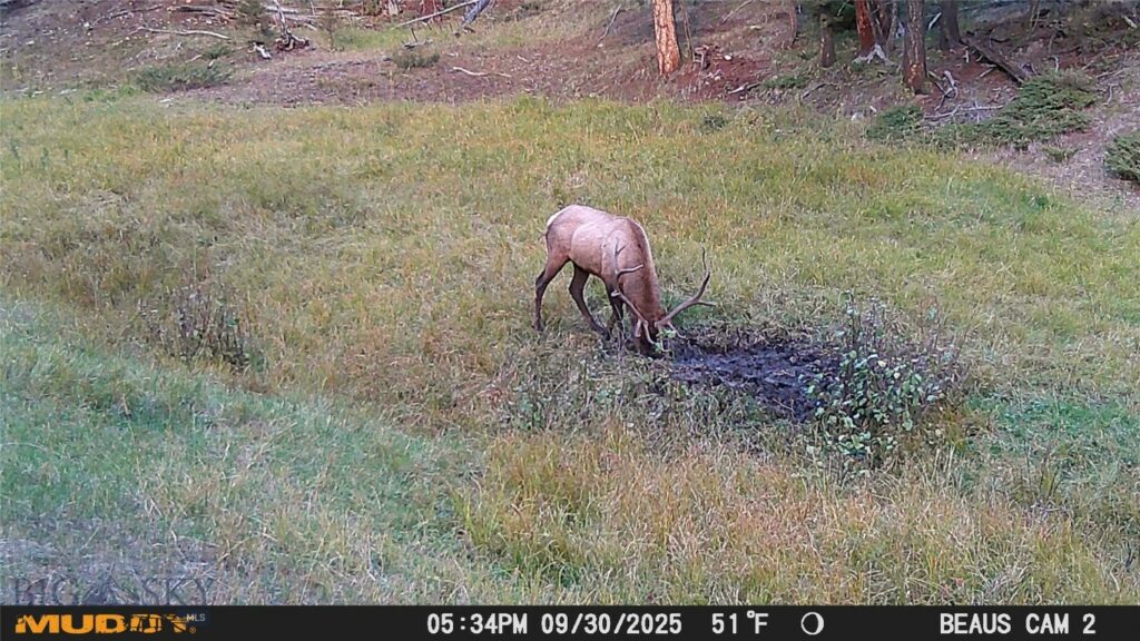 TBD Ruby Mine Road, Butte MT 59701