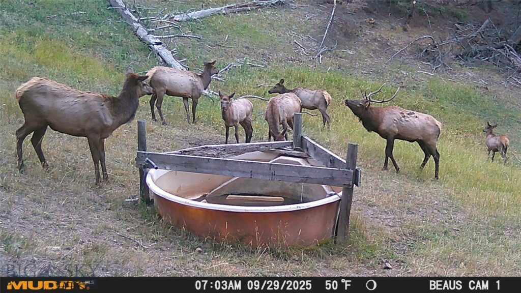 TBD Ruby Mine Road, Butte MT 59701