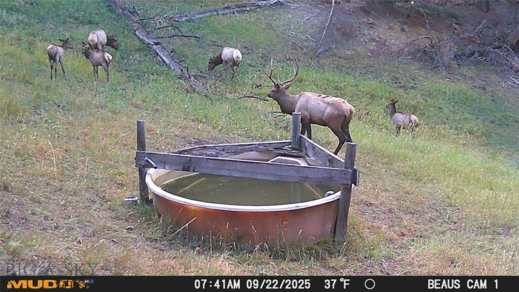 TBD Ruby Mine Road, Butte MT 59701