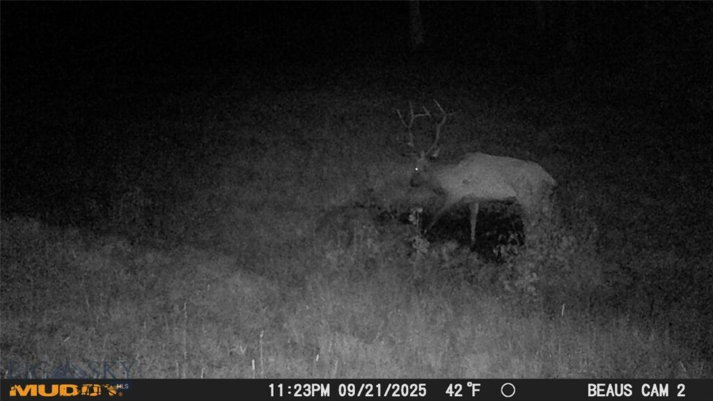 TBD Ruby Mine Road, Butte MT 59701