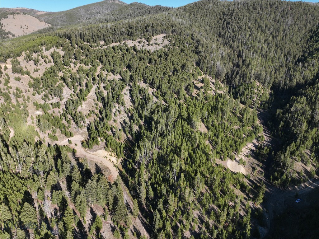 TBD Ruby Mine Road, Butte MT 59701