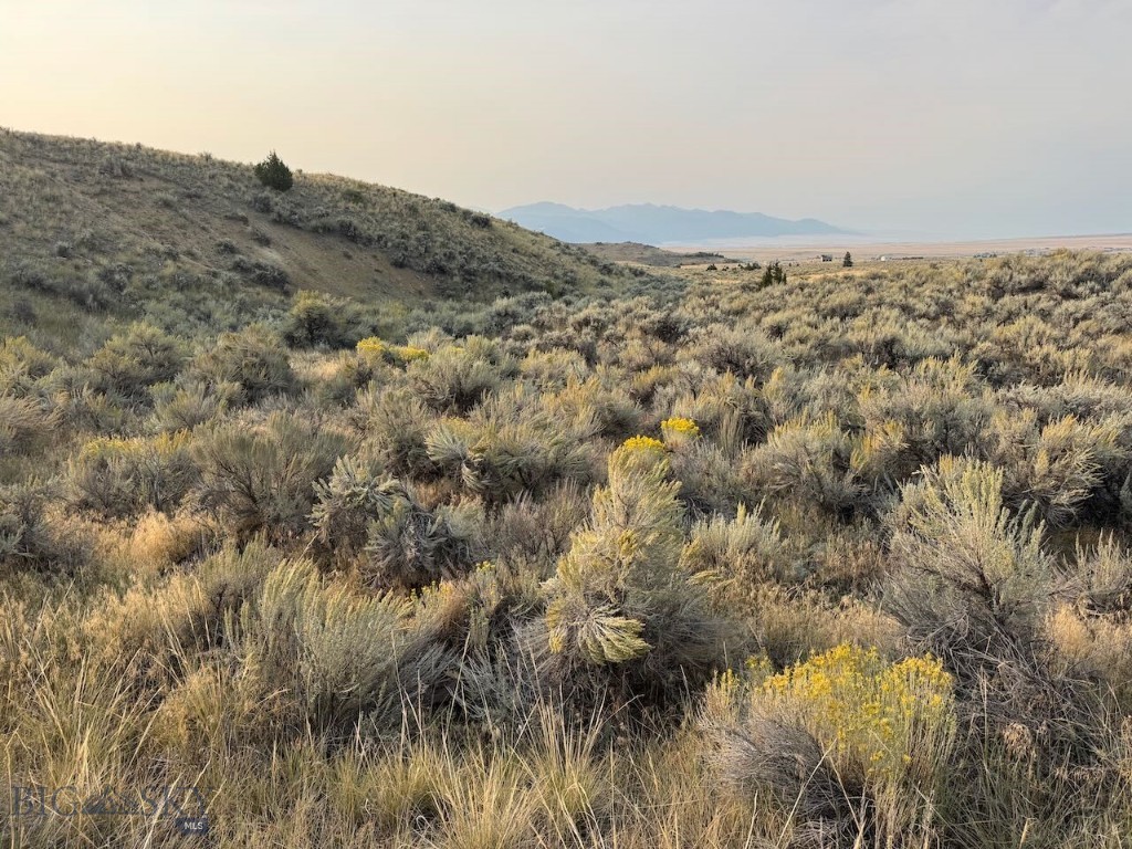 TBD Sheep Camp Road, Whitehall MT 59759