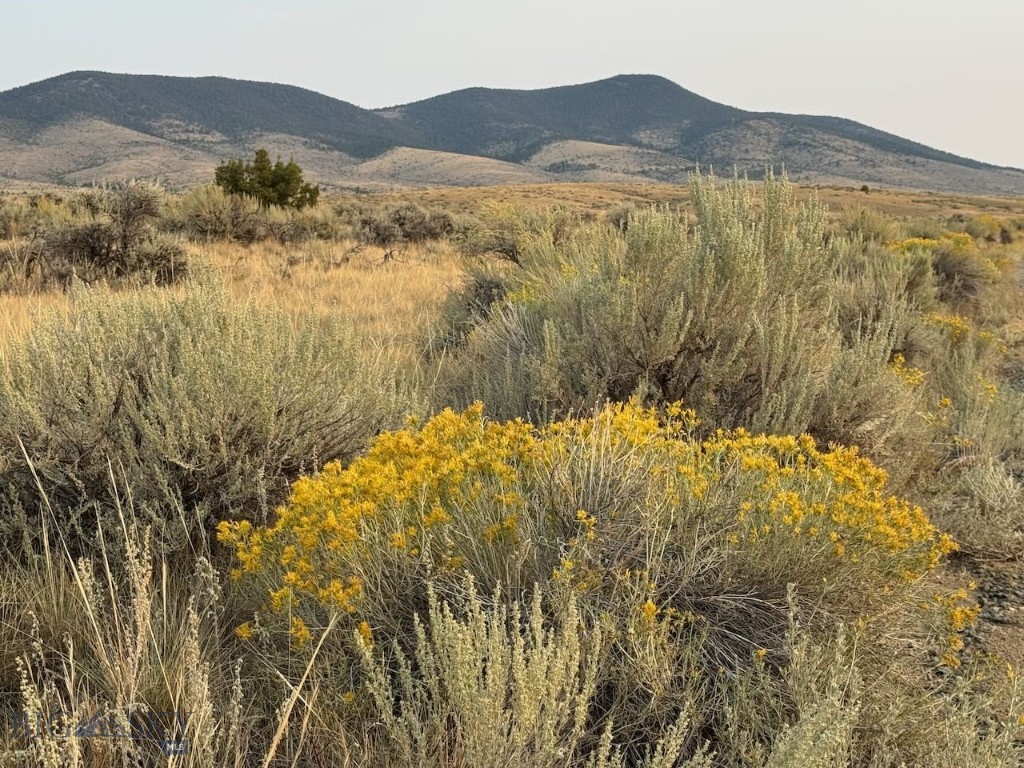 TBD Sheep Camp Road, Whitehall MT 59759