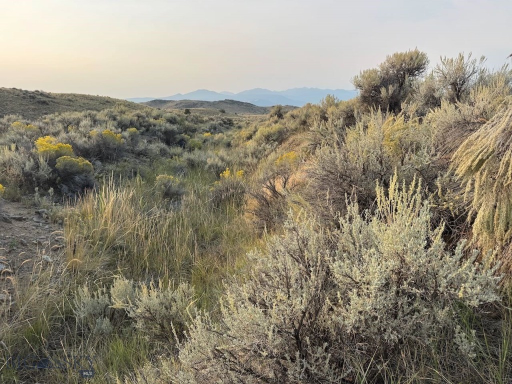 TBD Sheep Camp Road, Whitehall MT 59759