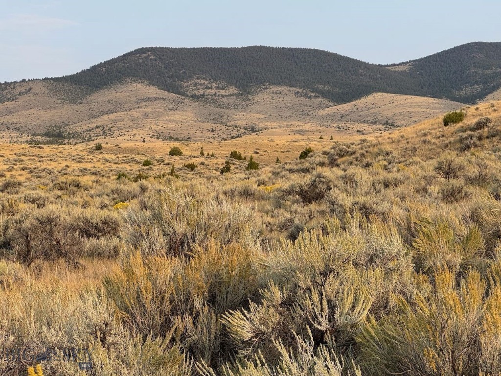 TBD Sheep Camp Road, Whitehall MT 59759