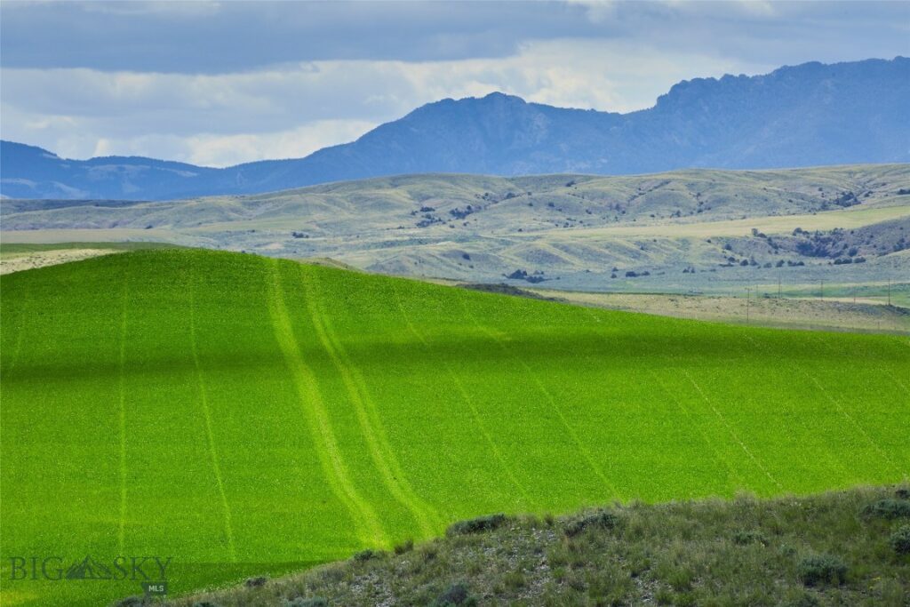 TBD Shoddy Springs, Three Forks MT 59752