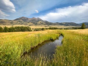 TBD Sixmile Creek Road