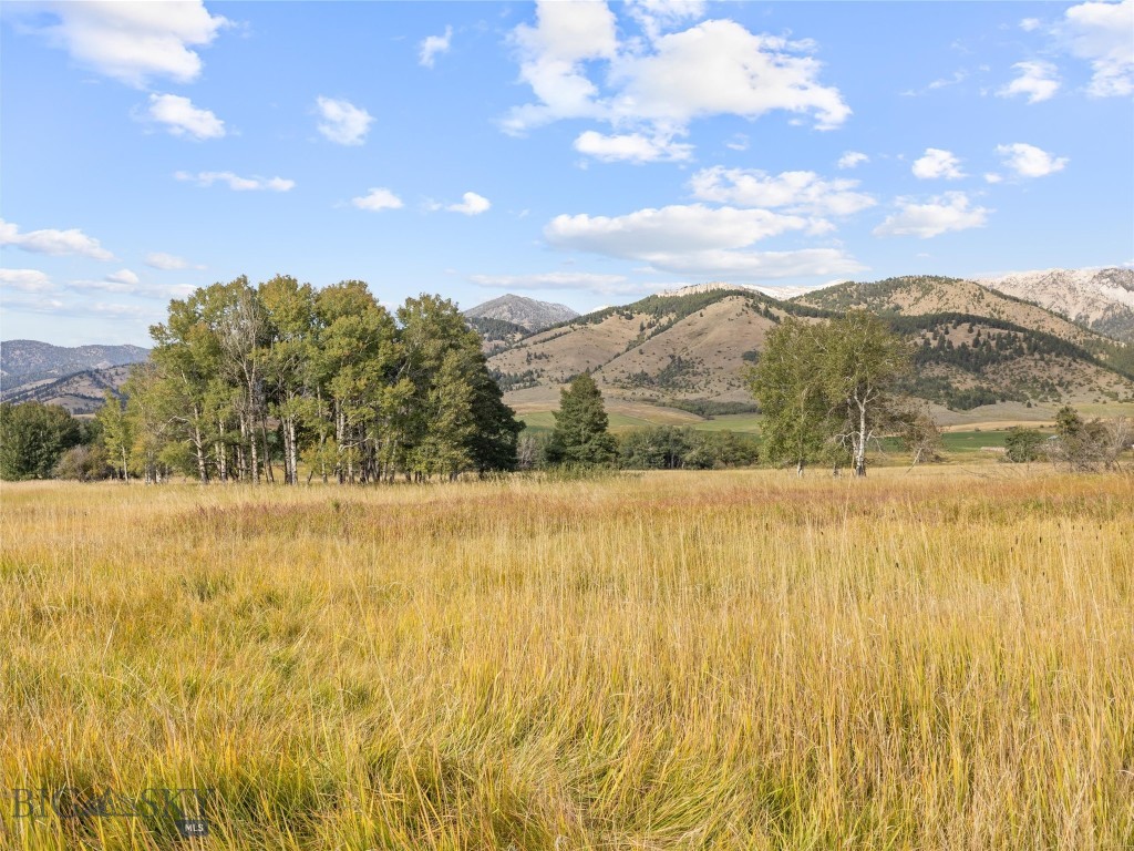 TBD Springhill Community Road, Belgrade MT 59714