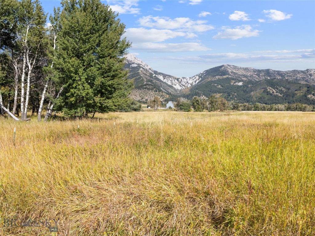 TBD Springhill Community Road, Belgrade MT 59714