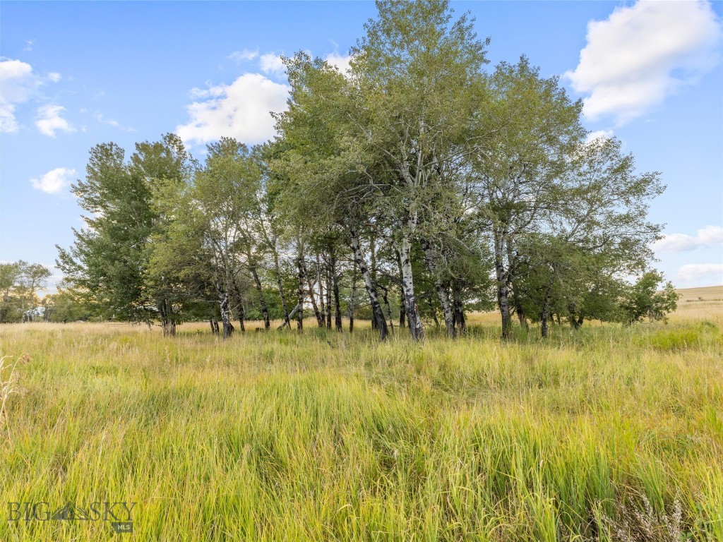 TBD Springhill Community Road, Belgrade MT 59714