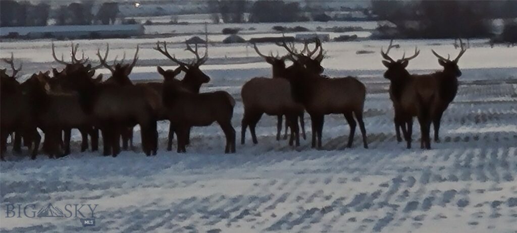 TBD Springhill Road and Penwell Bridge Road Roads, Belgrade MT 59714