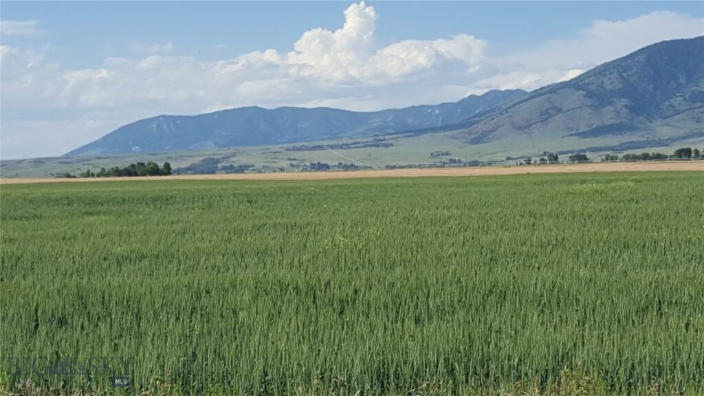 TBD Springhill Road and Penwell Bridge Road Roads, Belgrade MT 59714