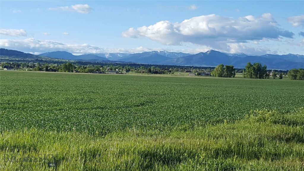 TBD Springhill Road and Penwell Bridge Road Roads, Belgrade MT 59714