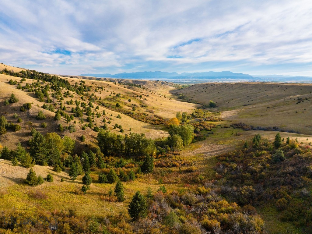 TBD Stampede Trail, Gallatin Gateway MT 59730
