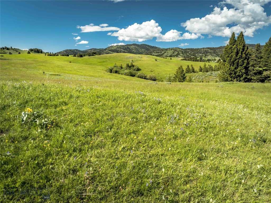 TBD Stublar Road, Bozeman MT 59715