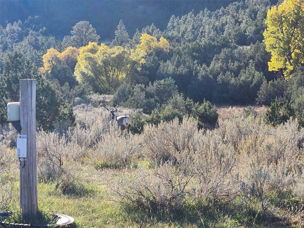 TBD TBD, Big Timber MT 59011