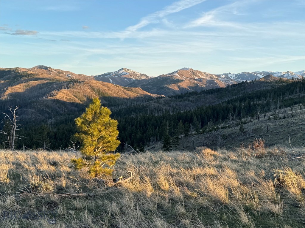 TBD TBD, Big Timber MT 59011