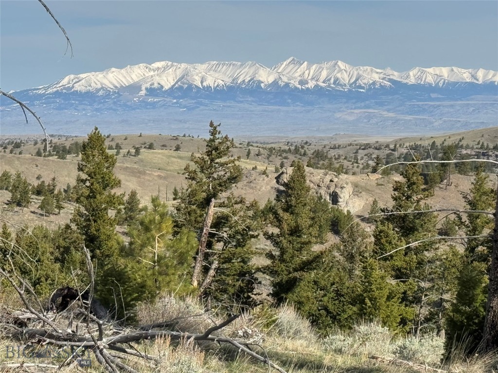 TBD TBD, Big Timber MT 59011