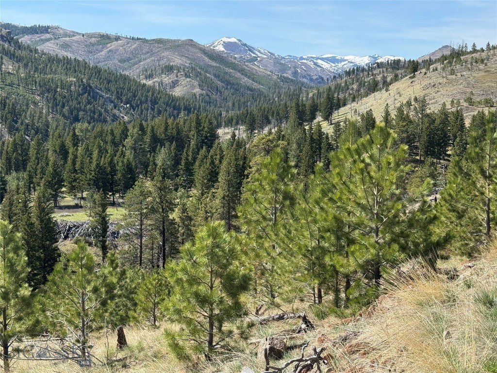 TBD TBD, Big Timber MT 59011