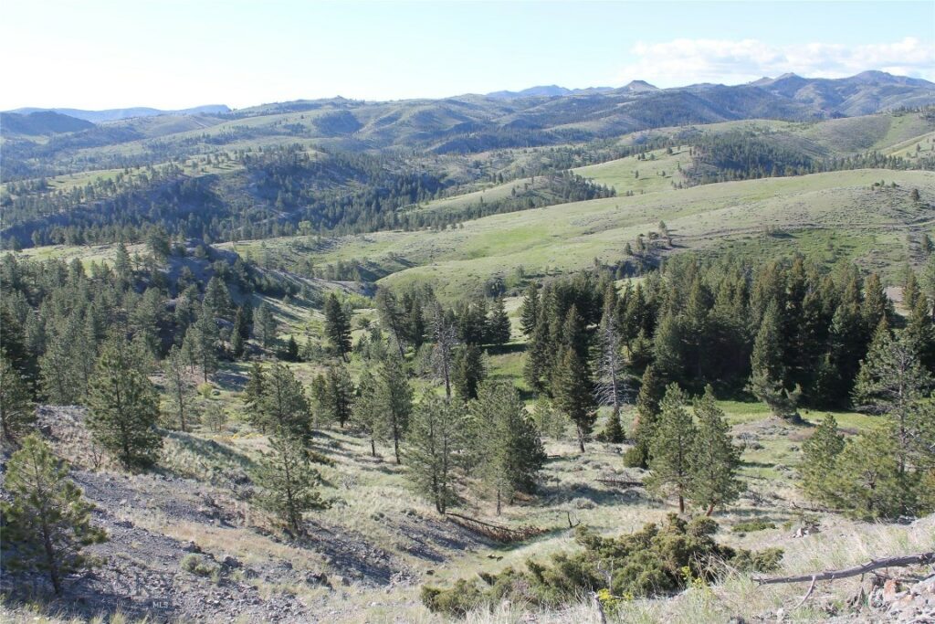 TBD TBD, Big Timber MT 59011