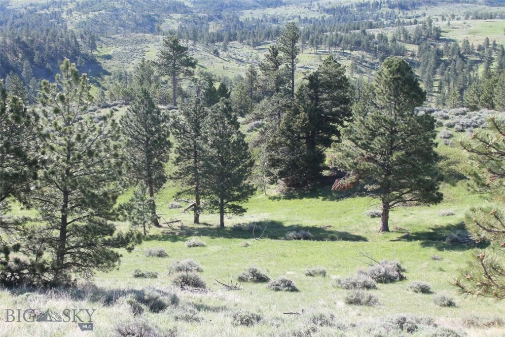 TBD TBD, Big Timber MT 59011