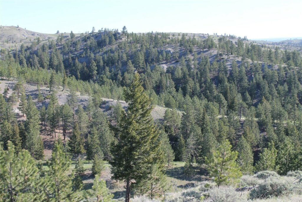 TBD TBD, Big Timber MT 59011