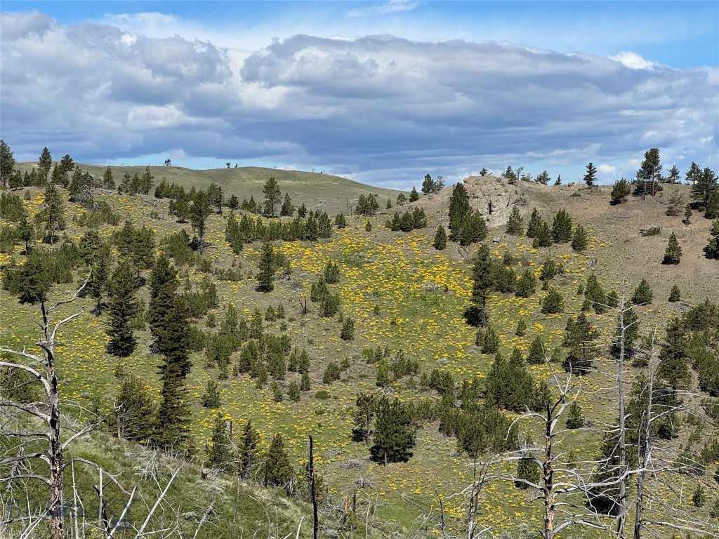 TBD TBD, Big Timber MT 59011