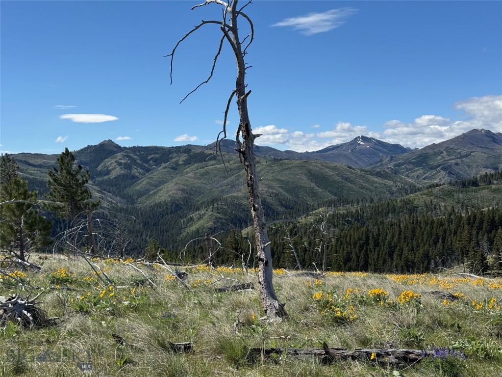 TBD TBD, Big Timber MT 59011