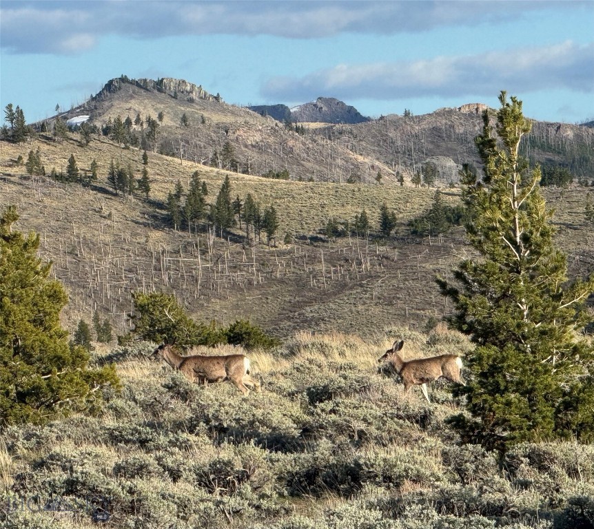 TBD TBD, Big Timber MT 59011