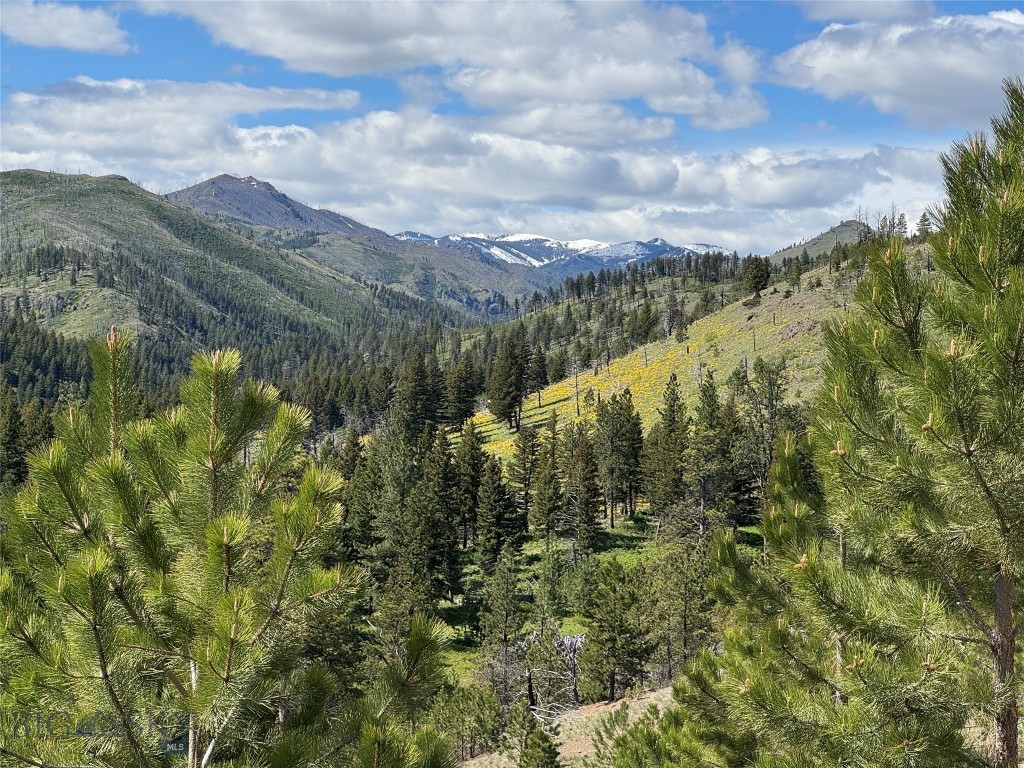 TBD TBD, Big Timber MT 59011