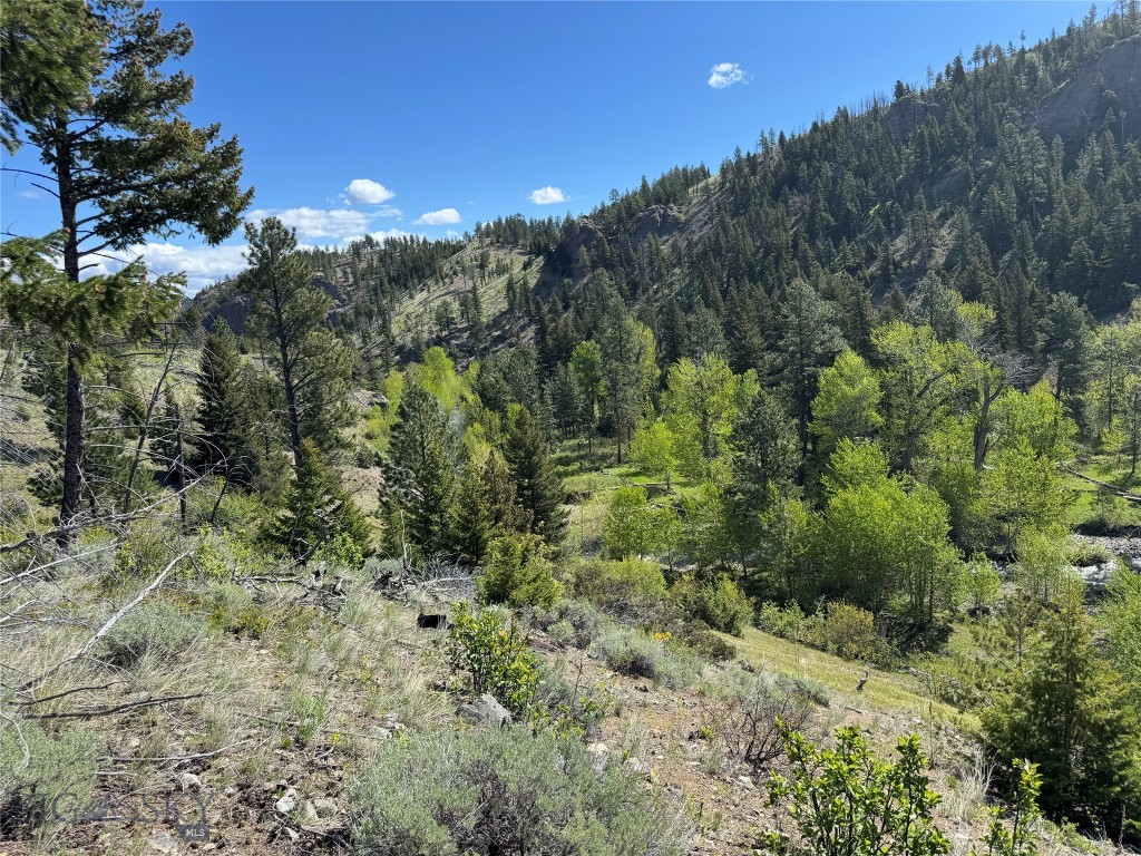 TBD TBD, Big Timber MT 59011