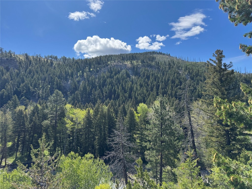 TBD TBD, Big Timber MT 59011