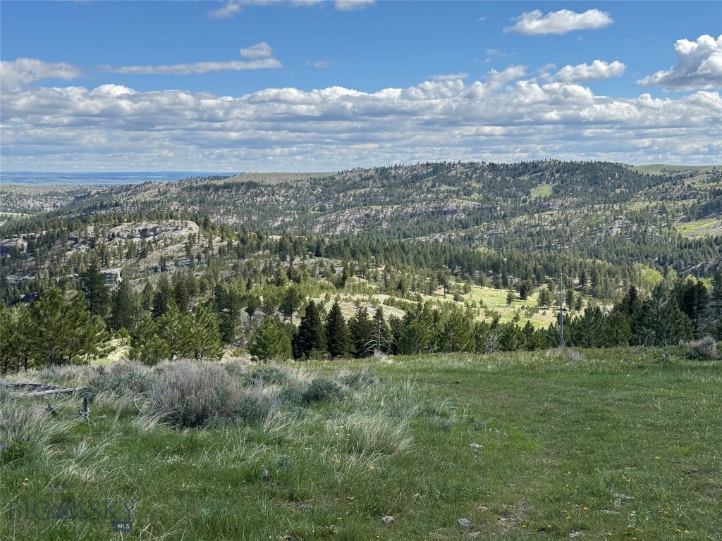 TBD TBD, Big Timber MT 59011