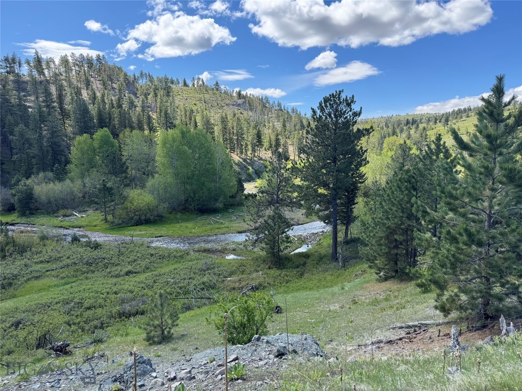 TBD TBD, Big Timber MT 59011