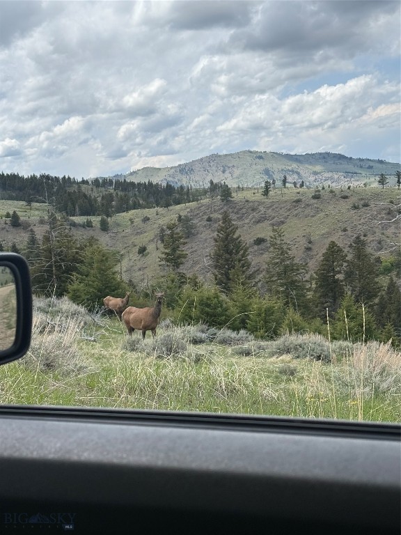 TBD TBD, Big Timber MT 59011