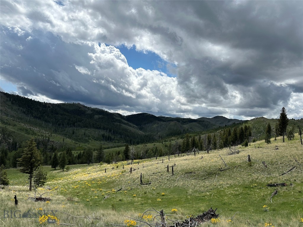 TBD TBD, Big Timber MT 59011