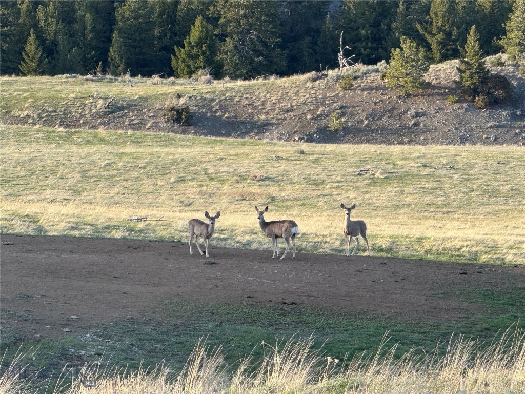 TBD TBD, Big Timber MT 59011