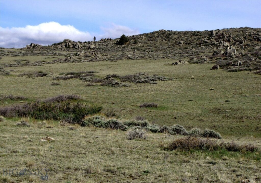 tbd Buffalo Commons, Wheatland, Wyoming, Other MT 82201