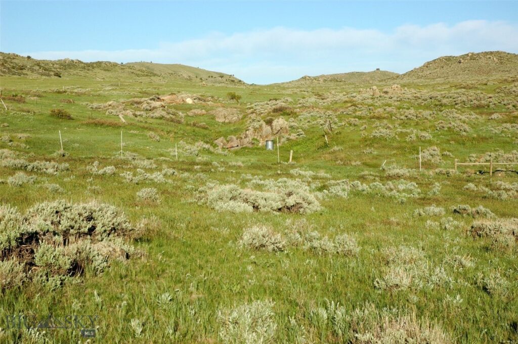 tbd Buffalo Commons, Wheatland, Wyoming, Other MT 82201