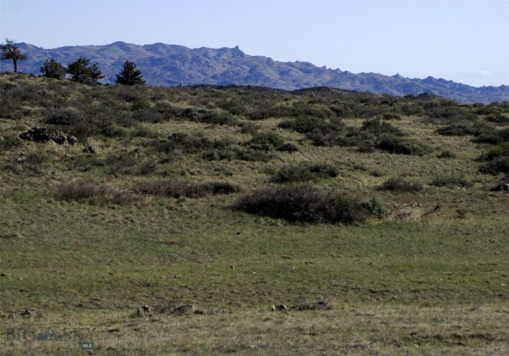 tbd Buffalo Commons, Wheatland, Wyoming, Other MT 82201