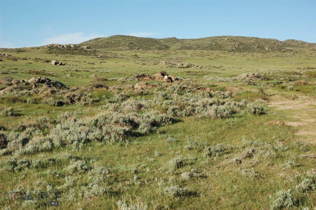 tbd Buffalo Commons, Wheatland, Wyoming, Other MT 82201