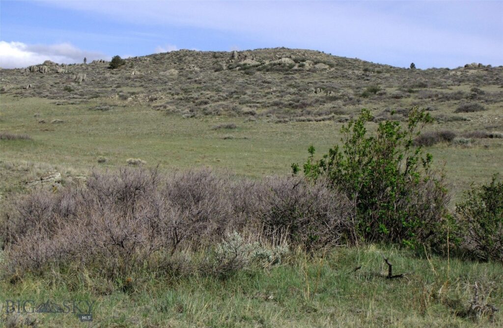 tbd Buffalo Commons, Wheatland, Wyoming, Other MT 82201
