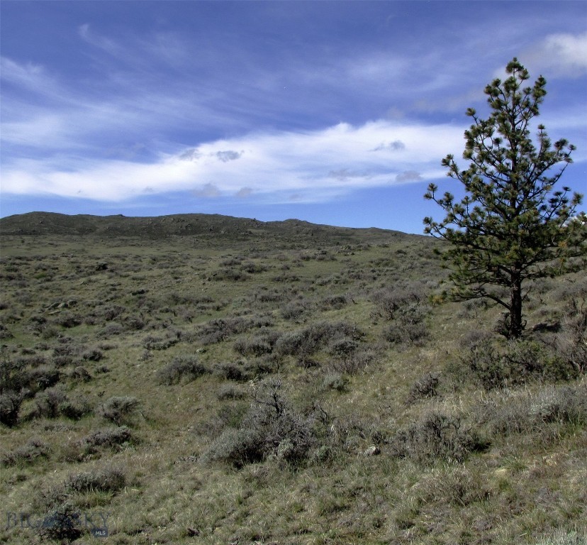 tbd Buffalo Commons, Wheatland, Wyoming, Other MT 82201