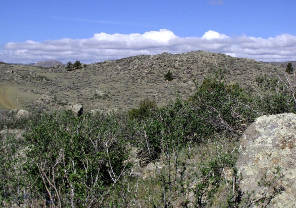 tbd Buffalo Commons, Wheatland, Wyoming, Other MT 82201